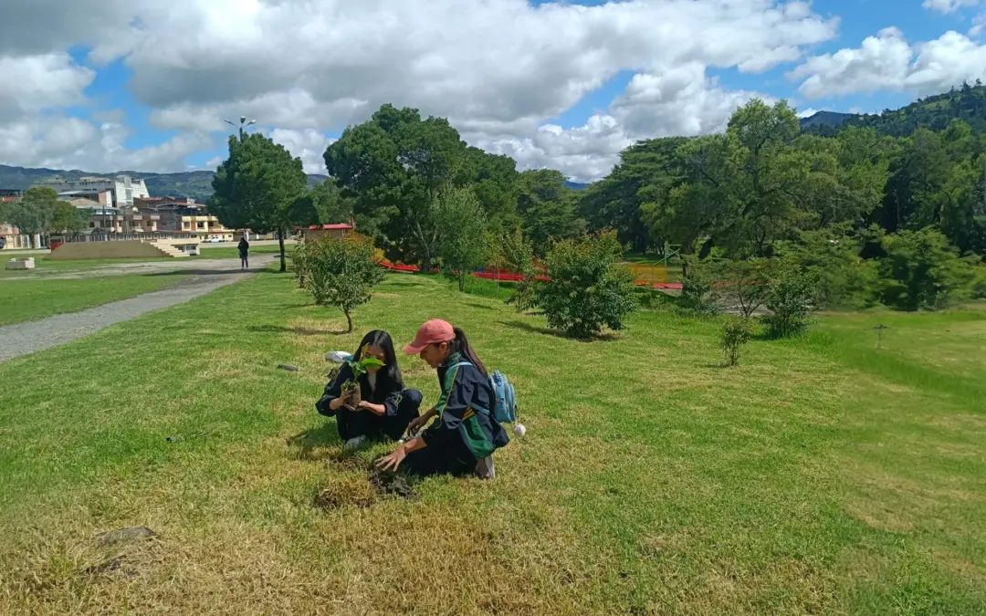 Siembra Ecológica en Jipiro
